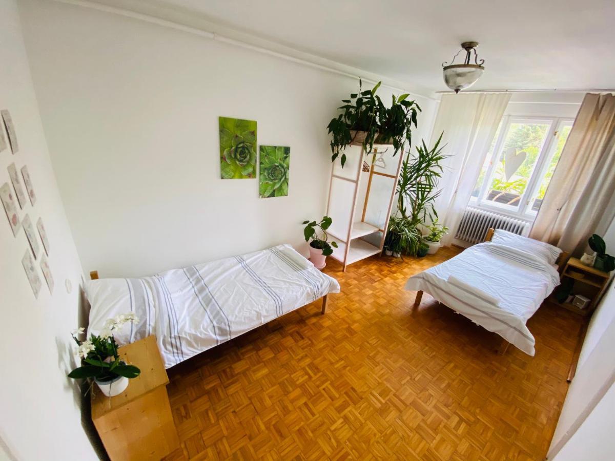 Апартаменты Dreamflat Кестхей Экстерьер фото